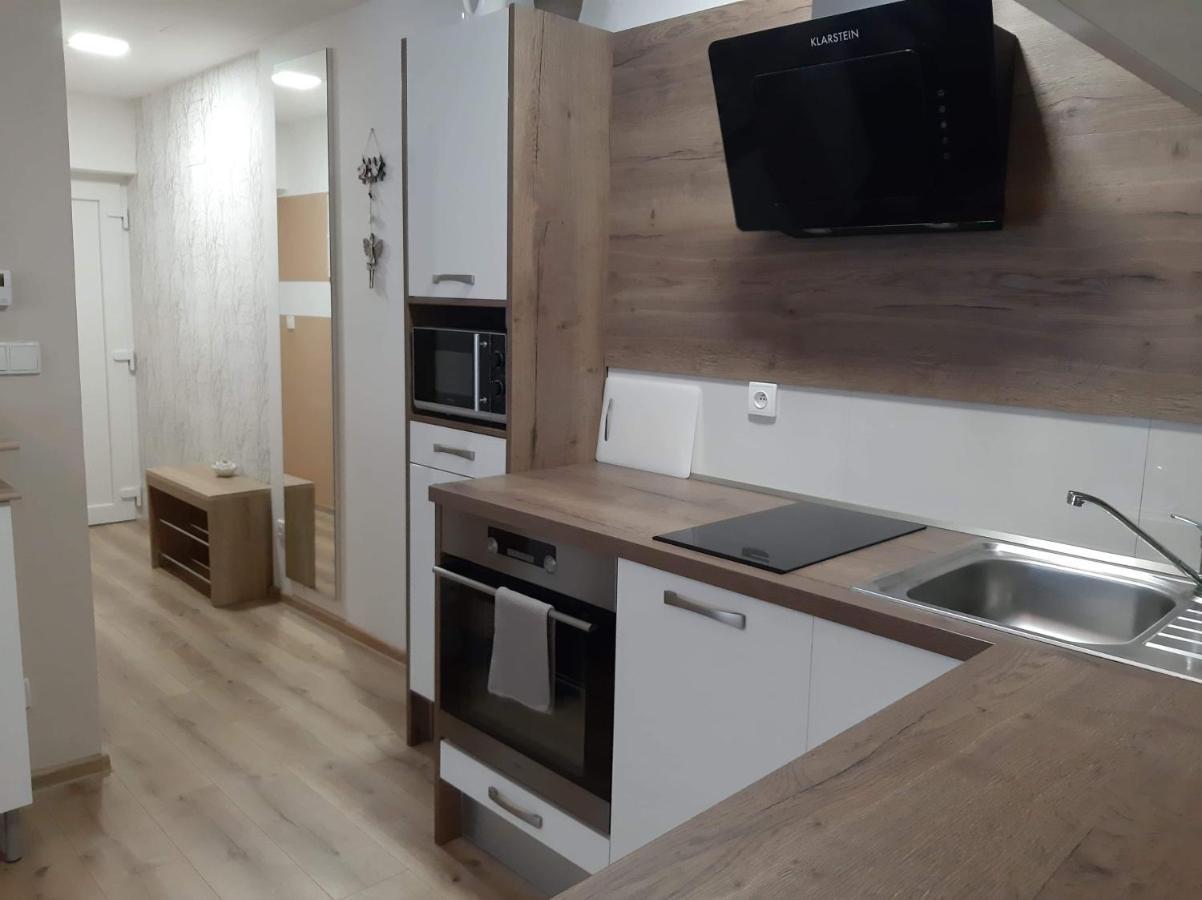 Apartman Pod Hradem 兹诺伊莫 外观 照片